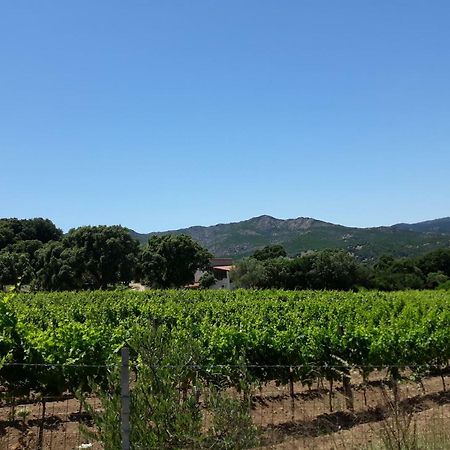 Agriturismo Su Pirastru 사 카스탄자 외부 사진
