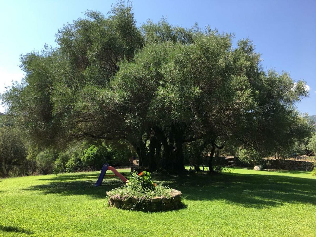 Agriturismo Su Pirastru 사 카스탄자 외부 사진