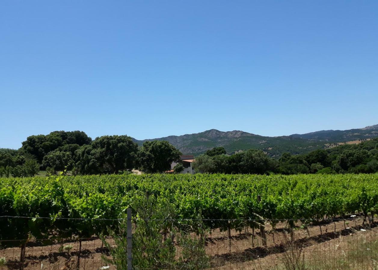 Agriturismo Su Pirastru 사 카스탄자 외부 사진